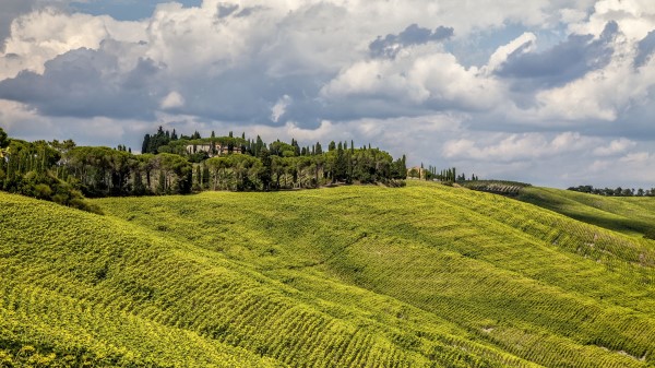 Grass Field Hill Wallpaper