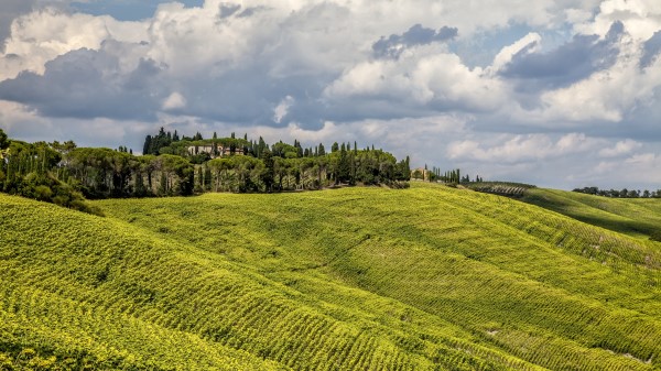 Grass Field Hill Wallpaper Wallpaper