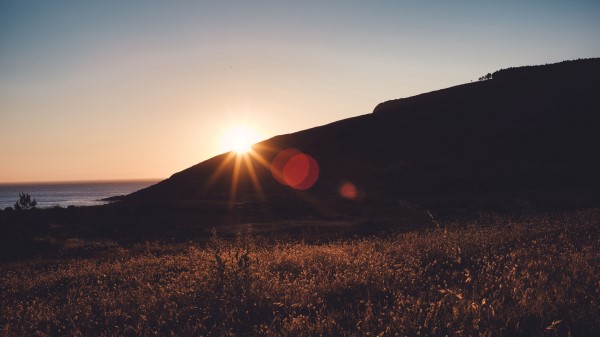 Grass Horizon Sunset Wallpaper