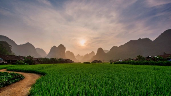 Grass Open Space Sun Wallpaper