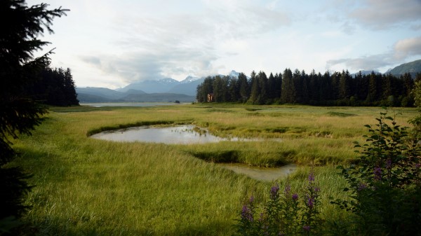 Grass Pond Mountains Wallpaper