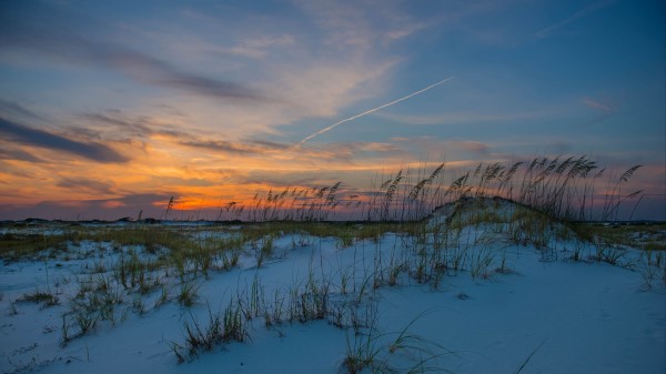 Grass Snow Horizon Wallpaper