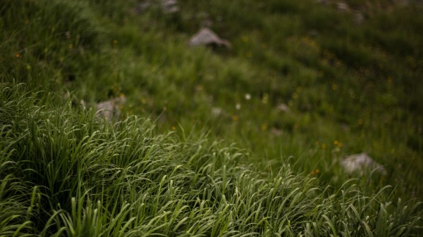 Grass Stones Mountains Wallpaper