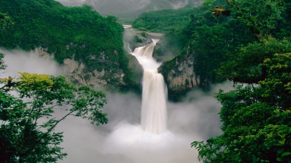Green Forest Waterfall Wallpaper