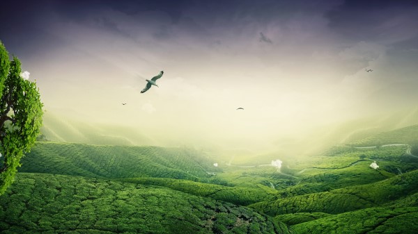 Green Landscape Wallpaper