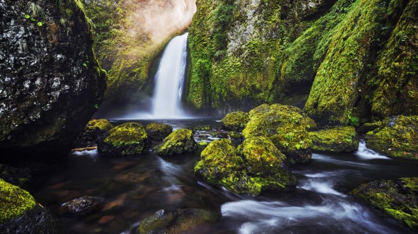 Green Moss Waterfall Wallpaper