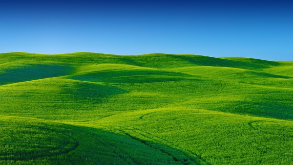 Greenary Landscape Wallpaper