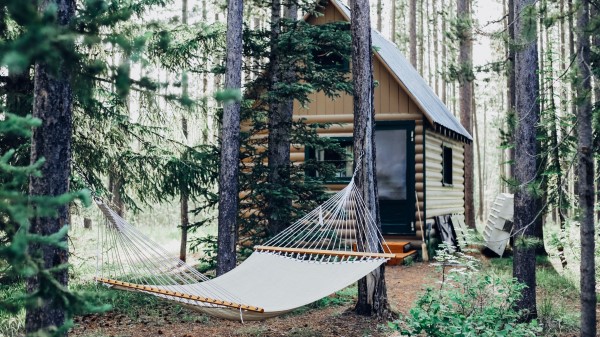 Hammock Forest Structure Wallpaper