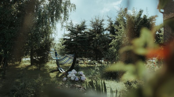 Hammock Grass Vegetation Wallpaper
