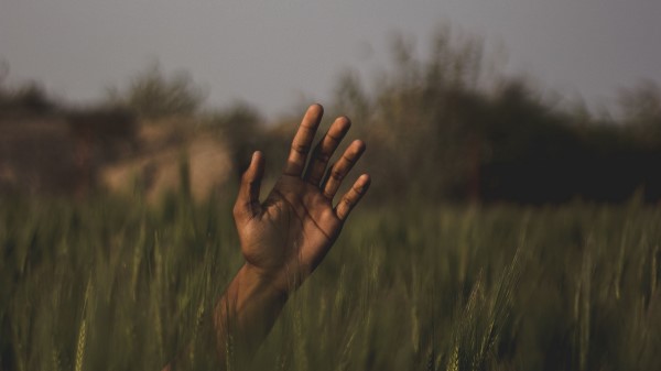 Hand Grass Field Wallpaper