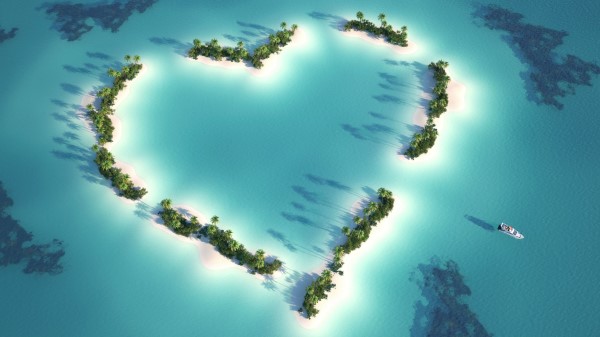 Heart Palm Island Height Trees Tropics Wallpaper