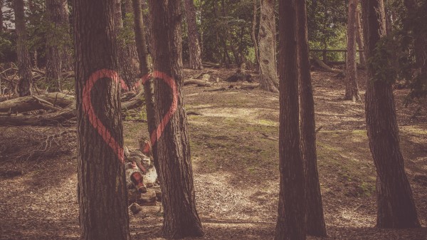 Heart Trees Paint Wallpaper