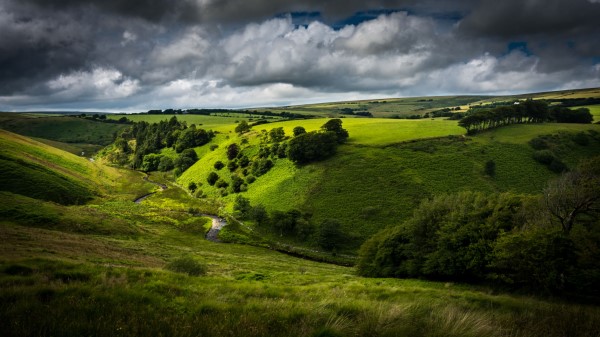 Hill Bushes Road Wallpaper