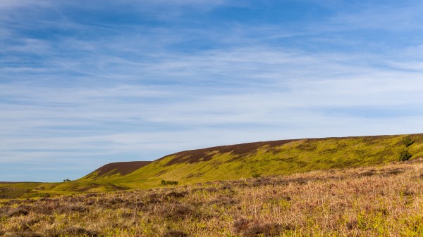Hill Field Grass Wallpaper