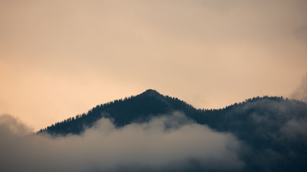 Hill Fog Forest Wallpaper