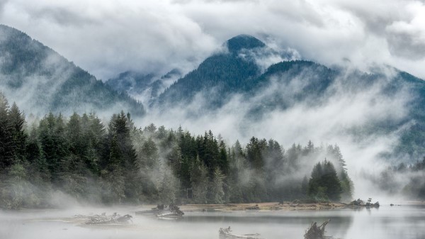 Hill Fog Lake Wallpaper