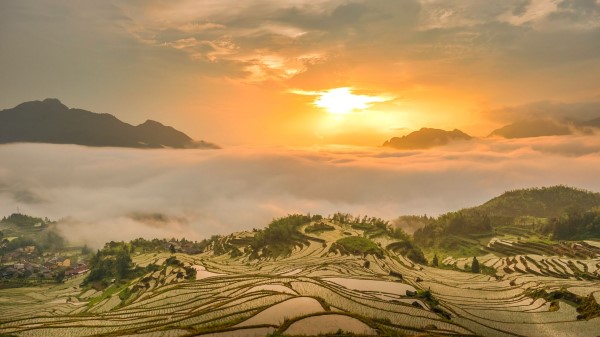 Hill Fog Sunset Wallpaper