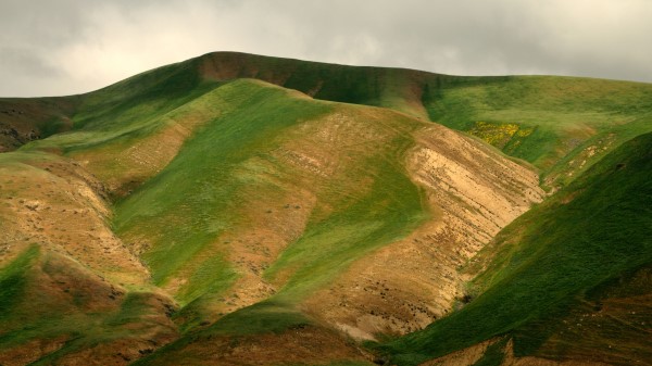 Hill Grass Relief Wallpaper