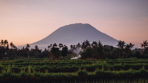Hill Palm River Wallpaper