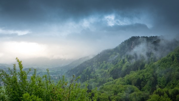 Hill Trees Bushes Wallpaper