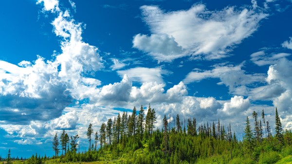 Hill Trees Clouds Wallpaper
