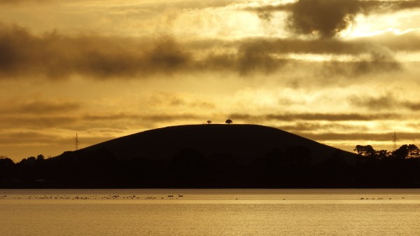 Hill Trees Sunset Wallpaper