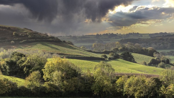 Hills Fields Trees Wallpaper