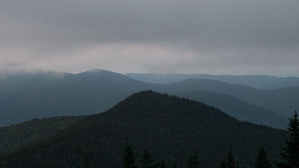 Hills Forest Trees Wallpaper