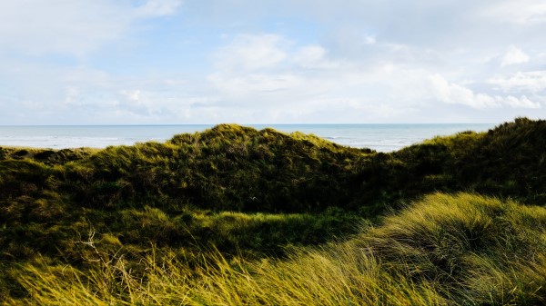 Hills Grass Coast Wallpaper