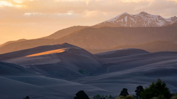 Hills Mountains Trees Wallpaper
