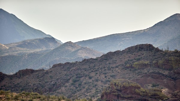 Hills Slope Cacti Wallpaper