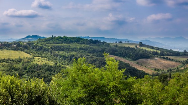 Hills Slope Trees Wallpaper