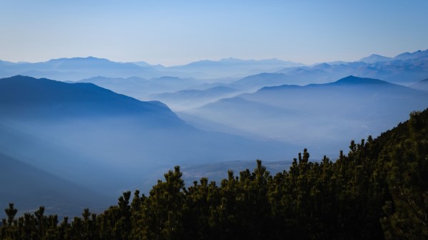 Hills Spruce Fog Wallpaper