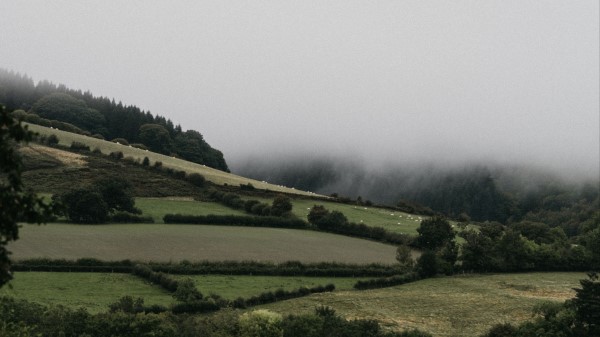Hills Trees Bushes Wallpaper