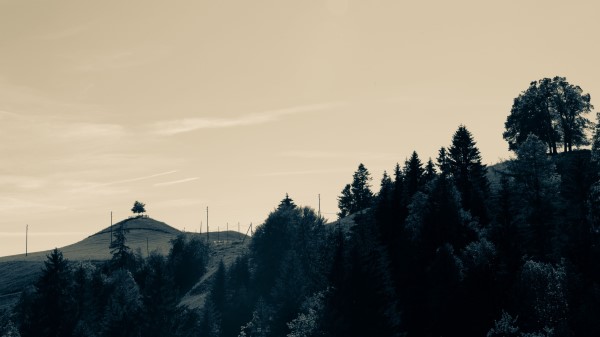 Hills Trees Landscape Wallpaper
