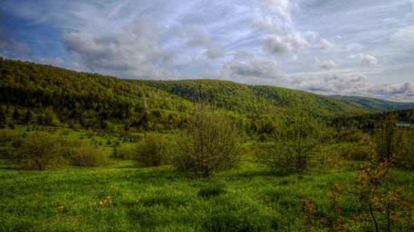 Hills Trees Sky Landscap Wallpaper