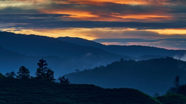 Hills Trees Sunset Wallpaper