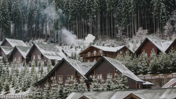 Homes Forest Slope Wallpaper