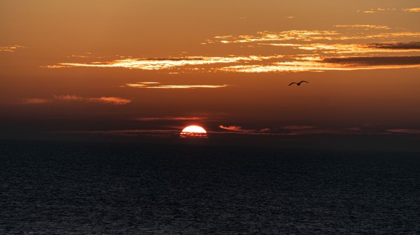 Horizon Sunset Cloud Wallpaper