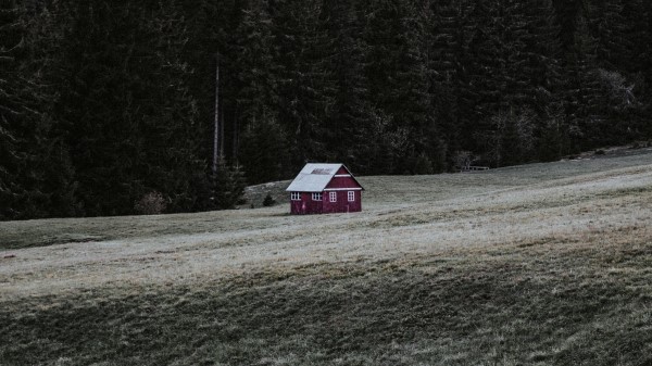 House Building Forest Image Wallpaper