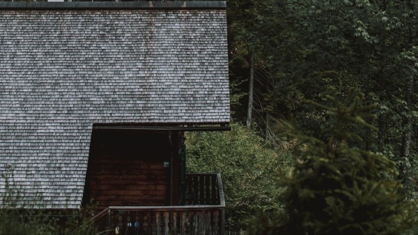 House Building Forest Wallpaper