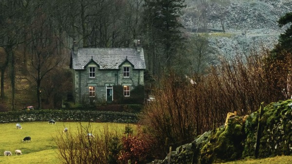 House Fog Grass Wallpaper