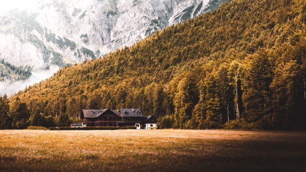 House Forest Mountains Wallpaper
