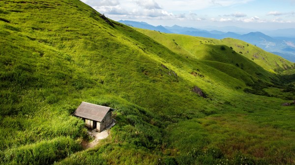 House Hills Grass Wallpaper