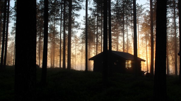 House Hut Forest Wallpaper