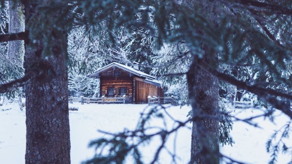 House Hut Trees Wallpaper