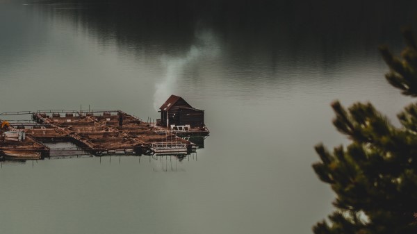 House Lake Forest Wallpaper