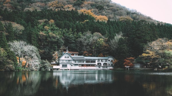House Lake Shore Hill Trees Wallpaper
