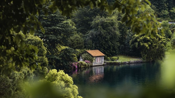 House Lake Trees Wallpaper