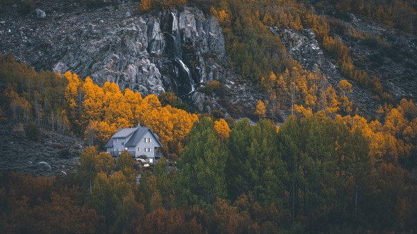 House Mountains Forest Wallpaper